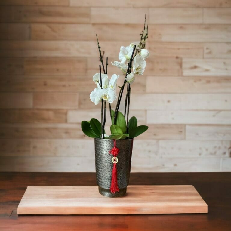 Japanische Orchideen in einer Vase auf einem Holztisch.